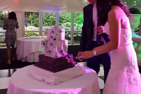 Cutting the cake