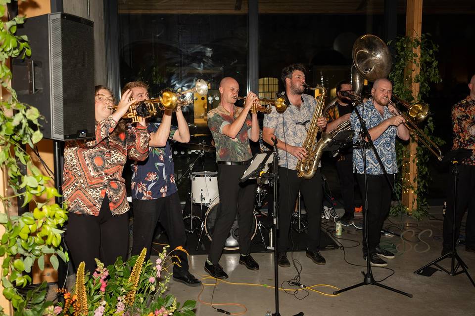 The band!