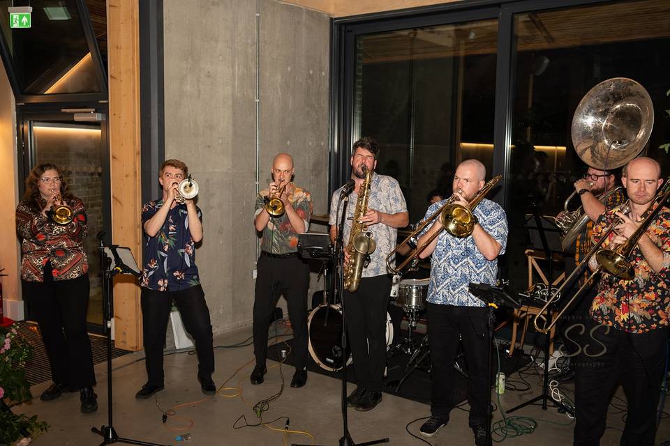 The band!