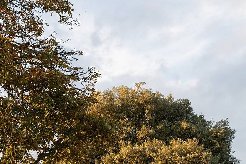 Cressingham Courtyard