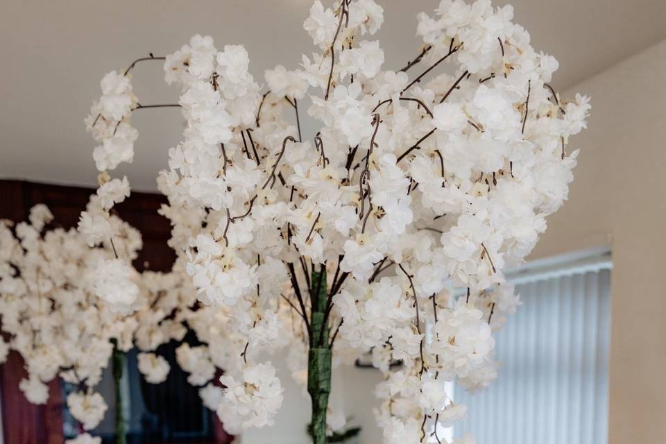 Blossom trees