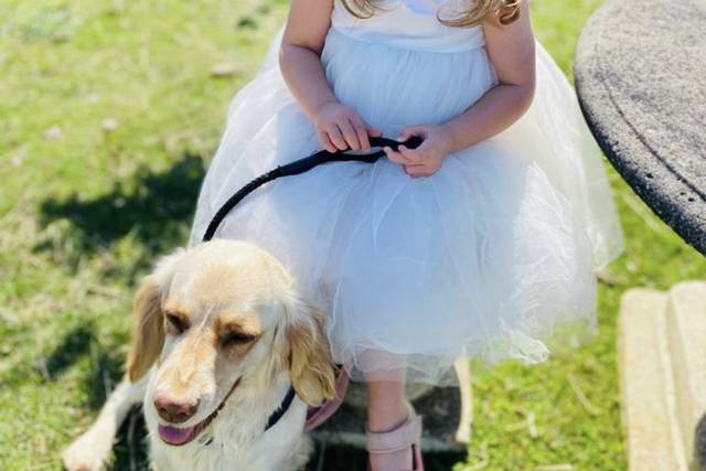 Hearts&hound