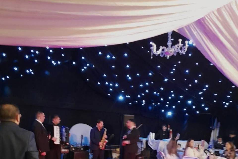 Evening marquee celebration