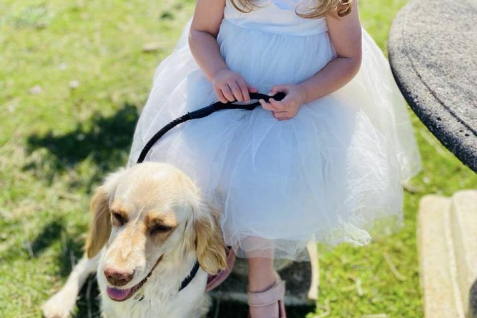 Hearts&hound