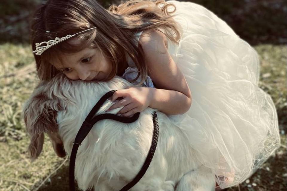 🐾