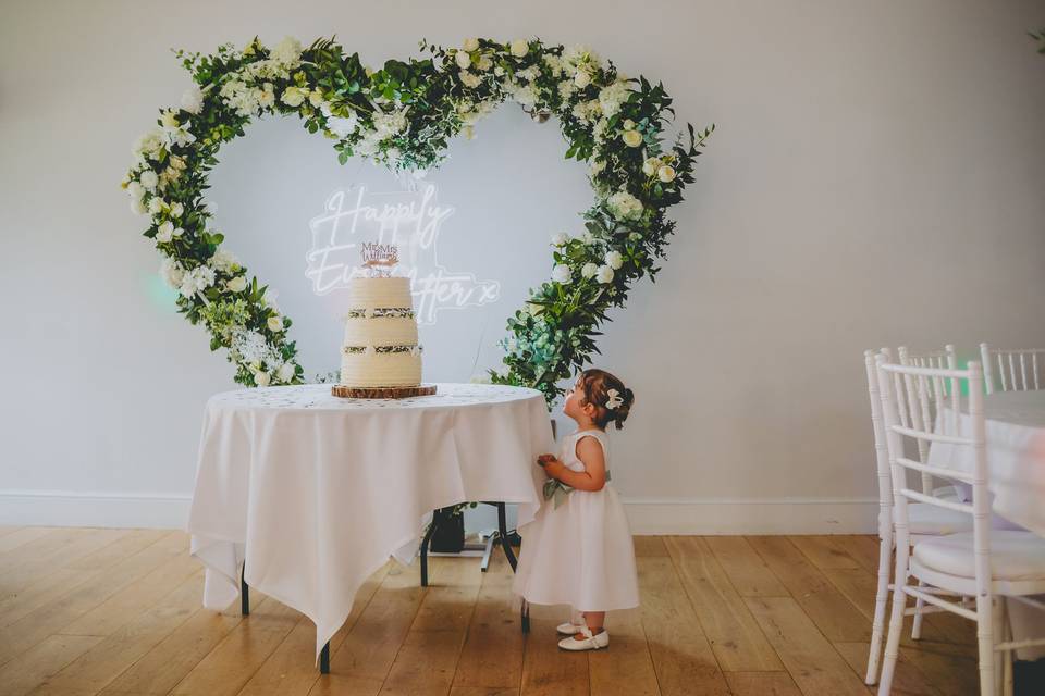 Little girl peeps at cake