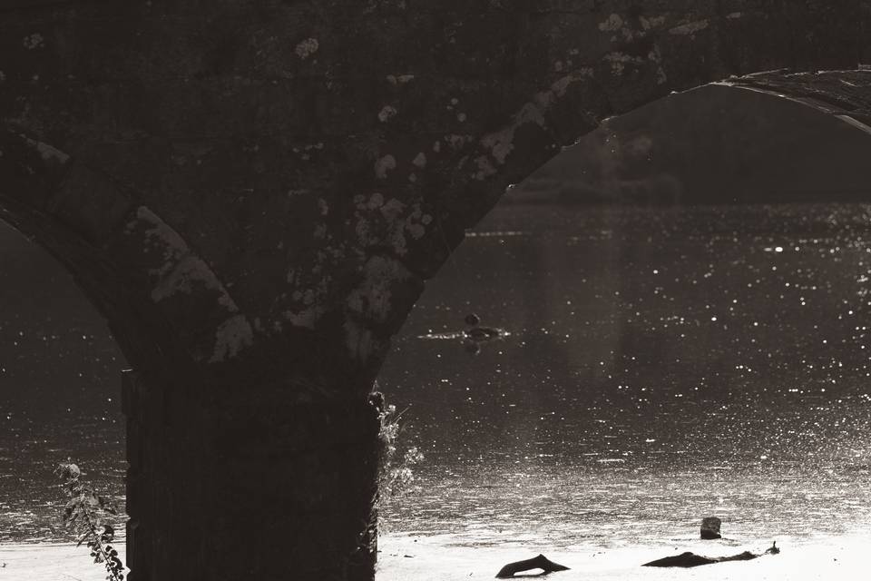 Stourhead Engagement Shoot