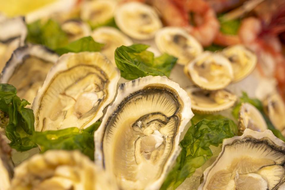 Fresh Fish
