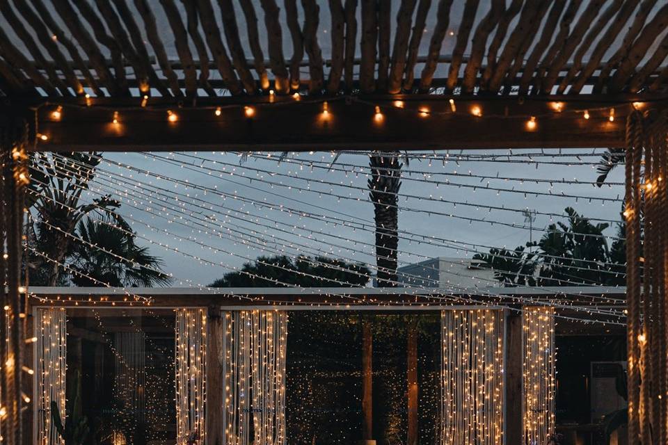 Winter Garden
