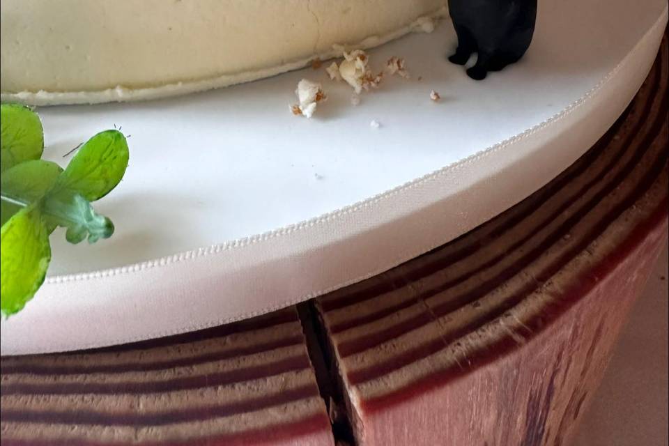 Personal touch cat eating cake