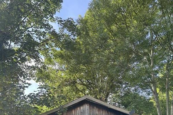 The barn