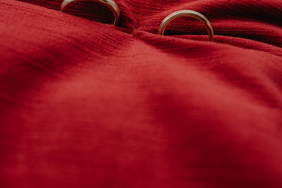 Stunning wedding rings against
