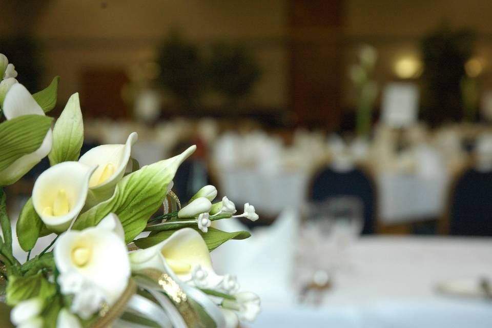 Venue 360