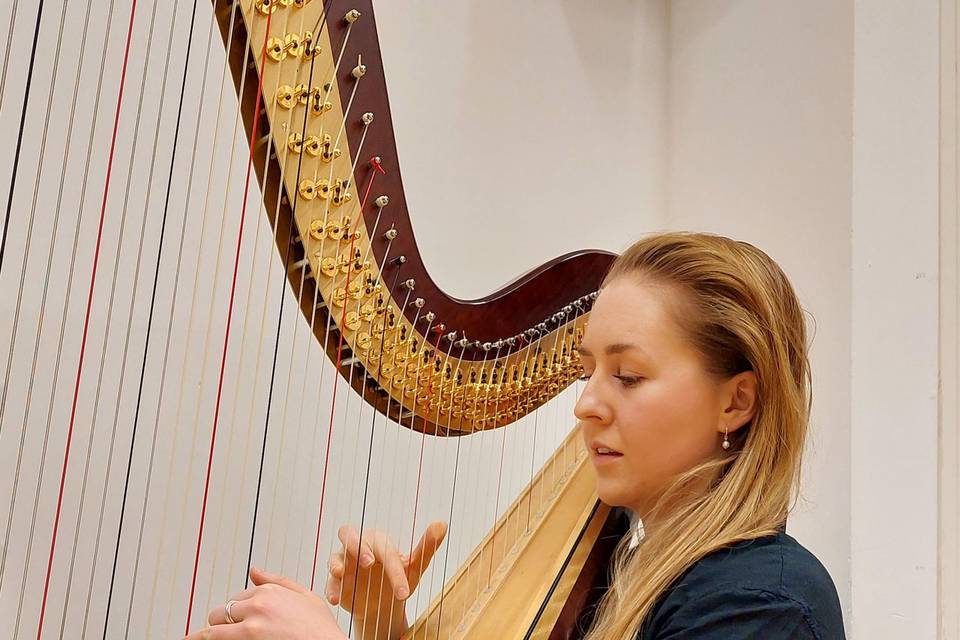 Harp