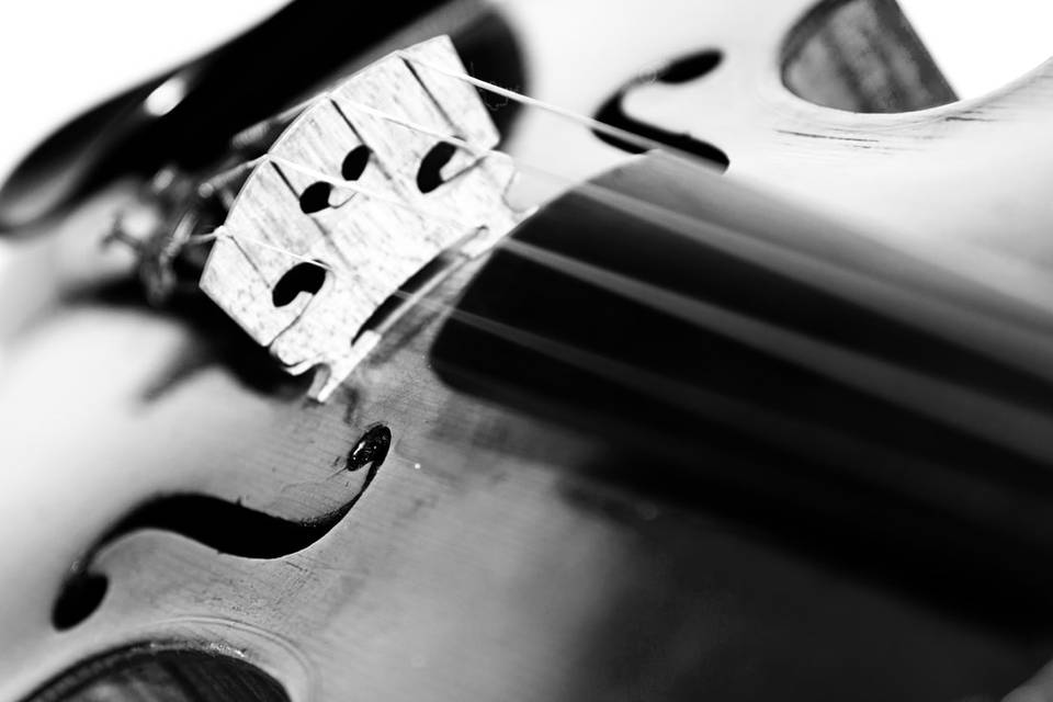 Closeup of violin