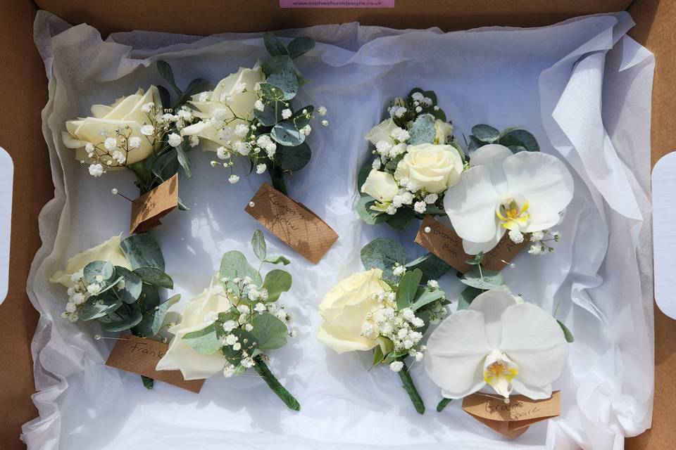 Buttonholes
