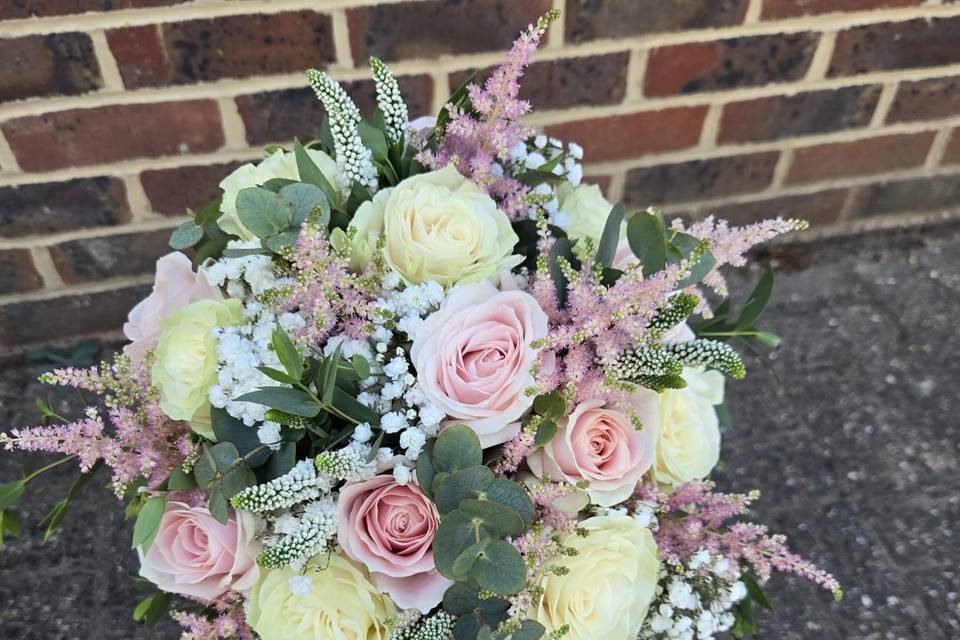 Mixed pale pink and white