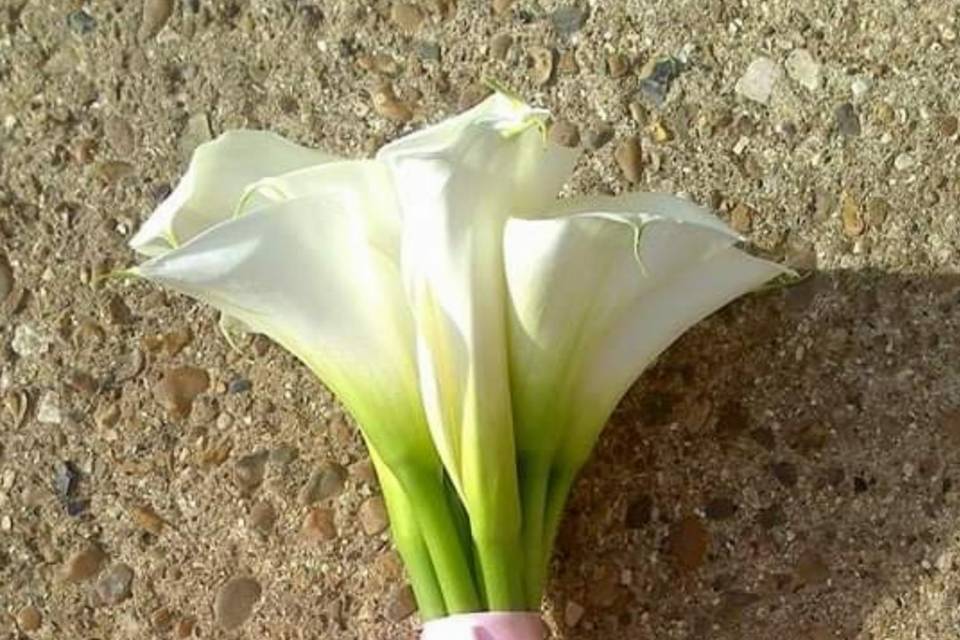 Calla lily bouquet
