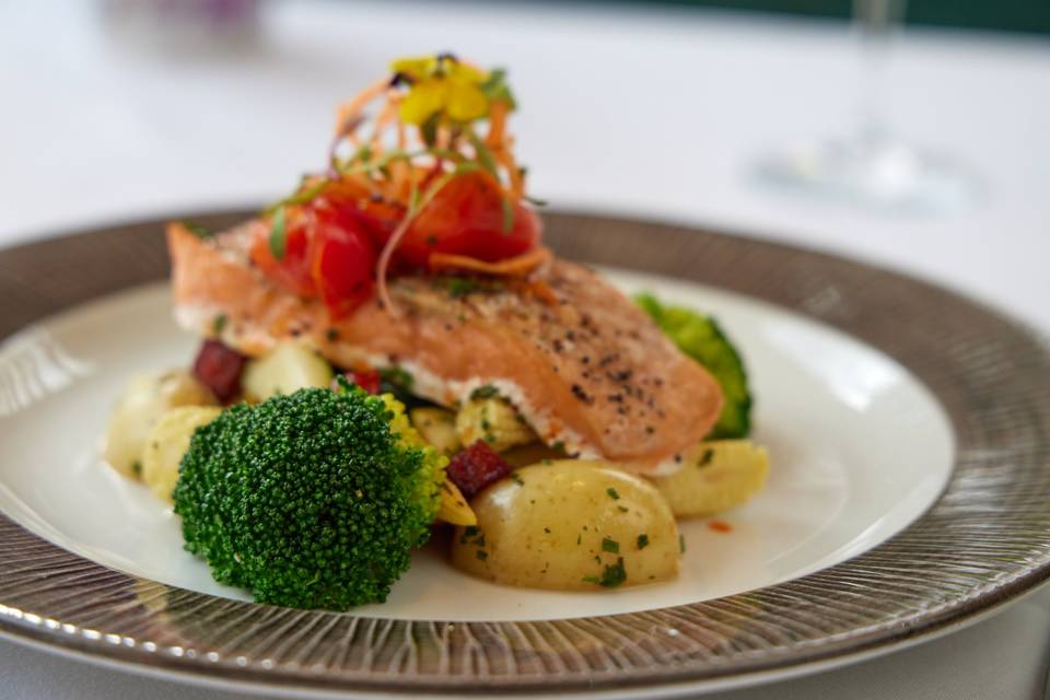 Salmon