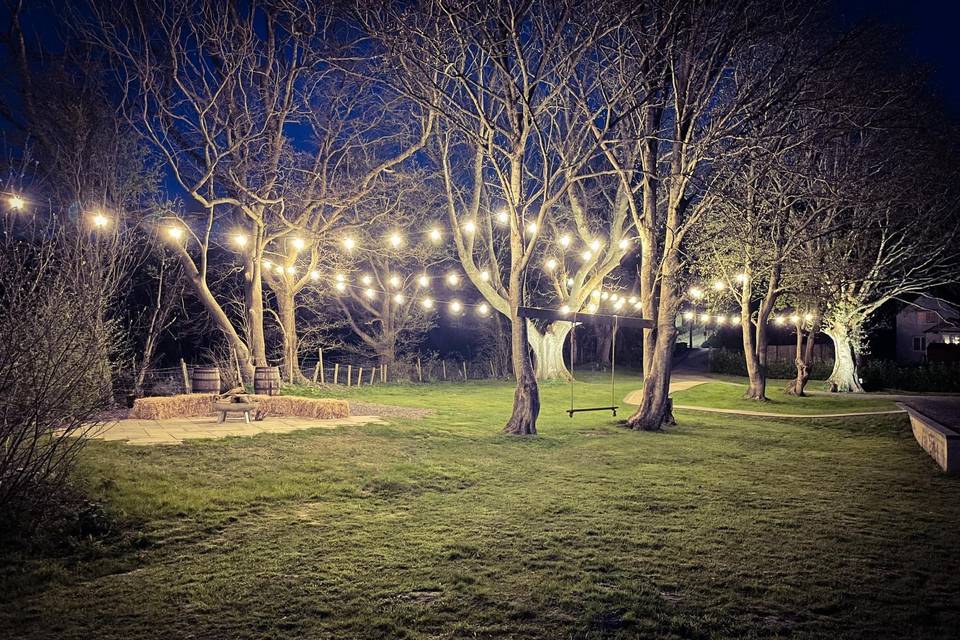 Outdoor area lit up at night