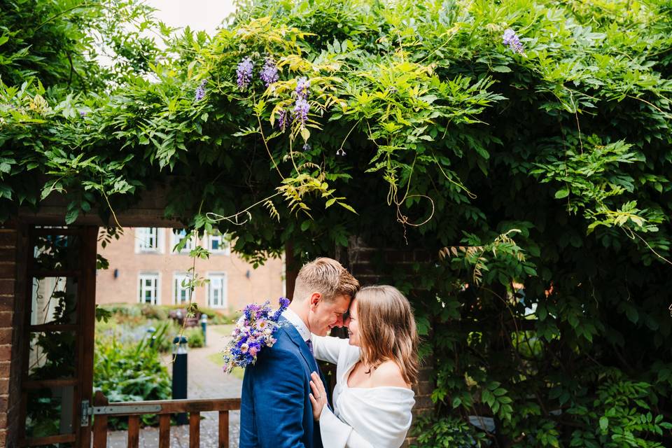 Wisteria hysteria