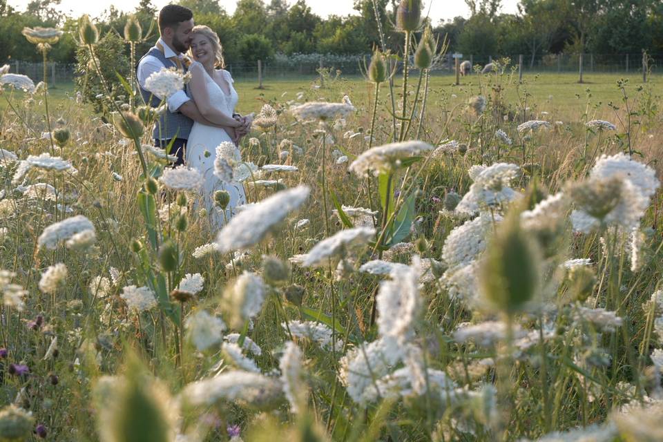Cuddle in the flowers