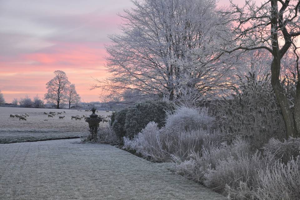 Stunning Frosty Morning