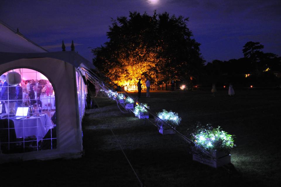 The marquee at night