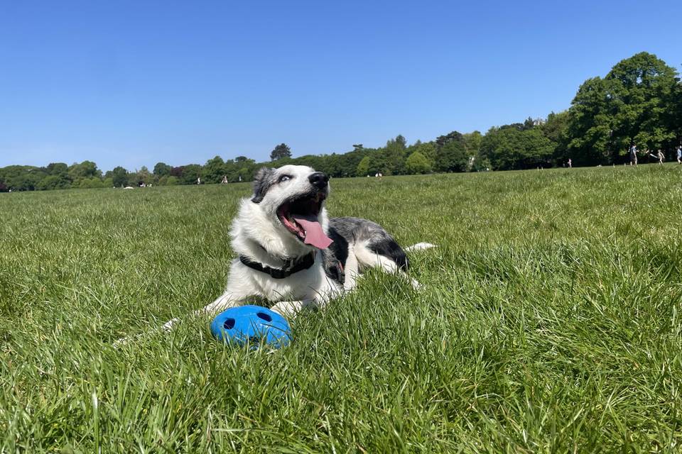 From Sit to ‘I Do’