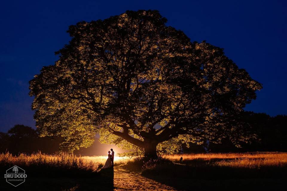 Romance in the trees