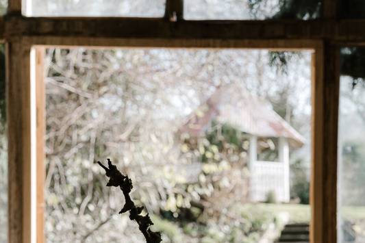 Steps to the Pergola