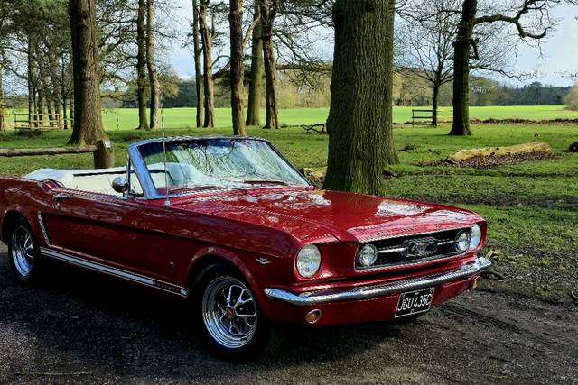 Classic Mustang Hire