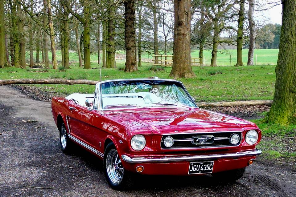 Ford Mustang 1965 GT