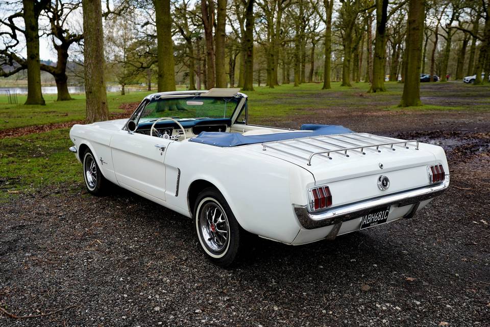 1965 convertible