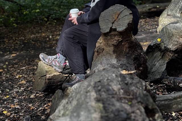 Forest bathing