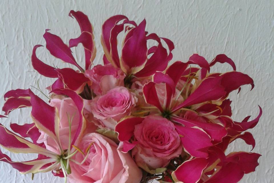 Tropical gloriosa trailing