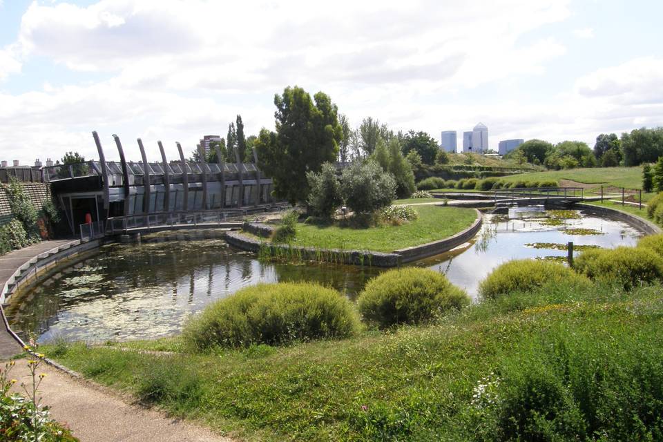 The Art Pavilion Island & Lake