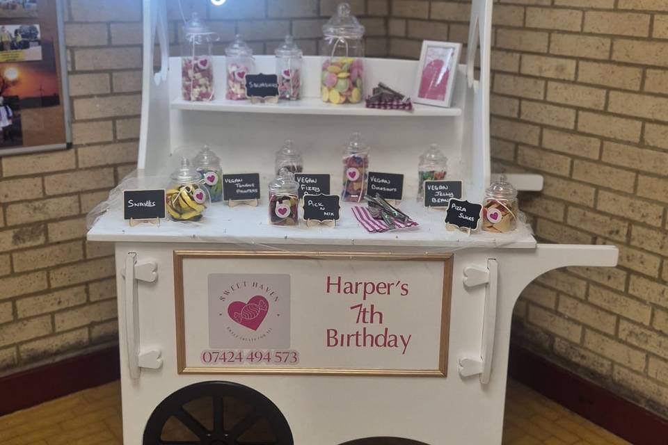 Little girls birthday party