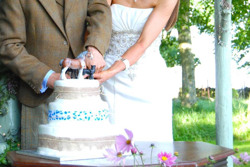 Cutting the cake