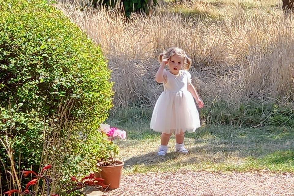 A wee brides maid in garden