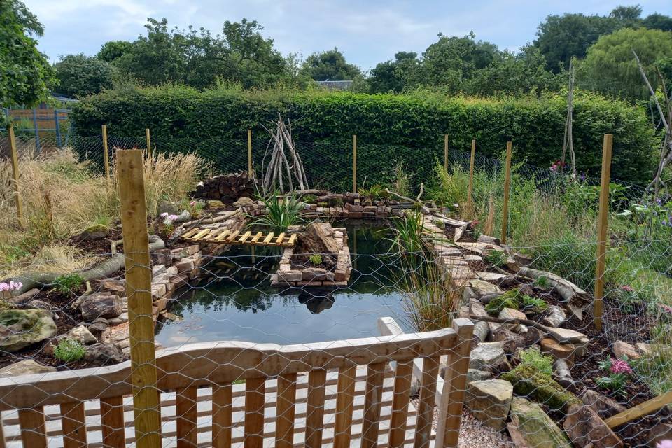 Pond in the walled garden