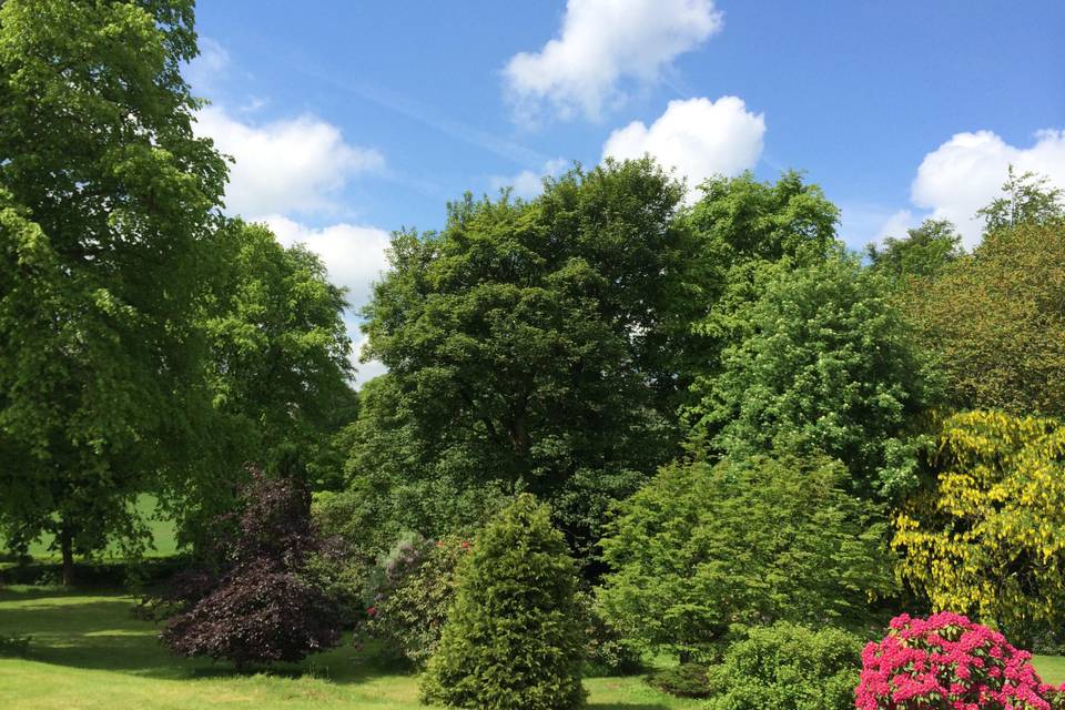 Gardens and grounds