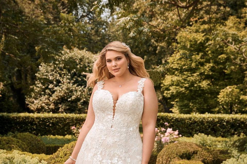 Beautiful Sophia Tolli design