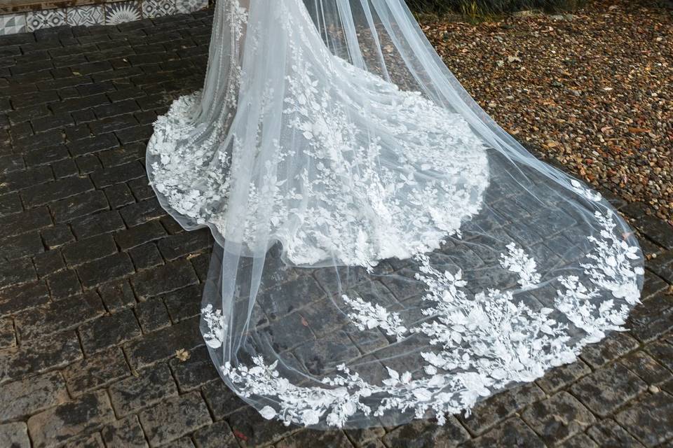 Madi Lane Veil