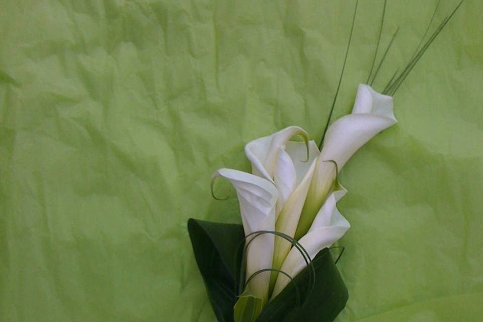 White Calla Lily Brides