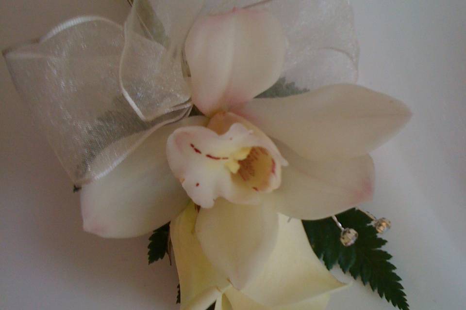 Rose/Orchid Button Hole/Corsage