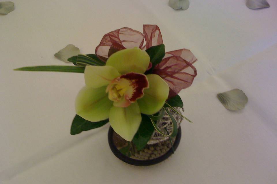 Cymbidium Orchid Wrist Corsage