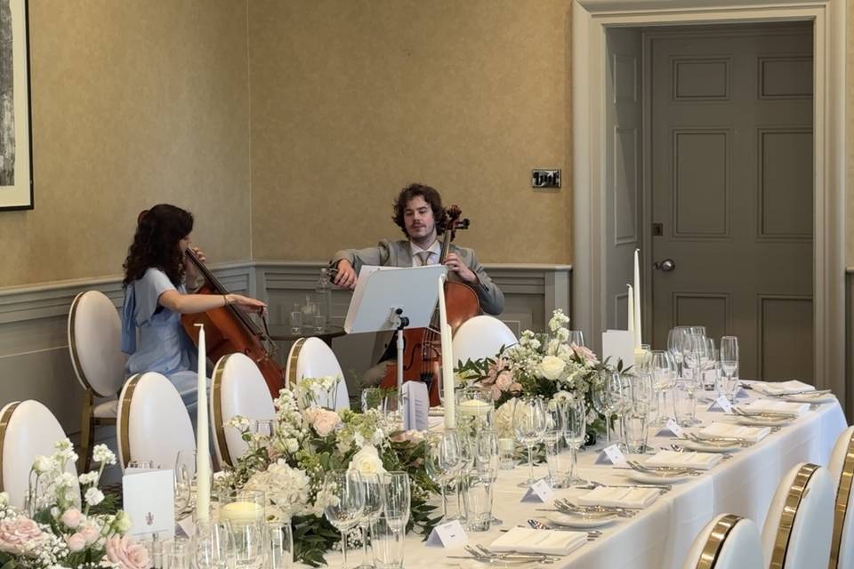 Pudding park Hotel
