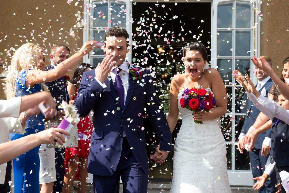 Nonsuch Mansion Confetti Throw