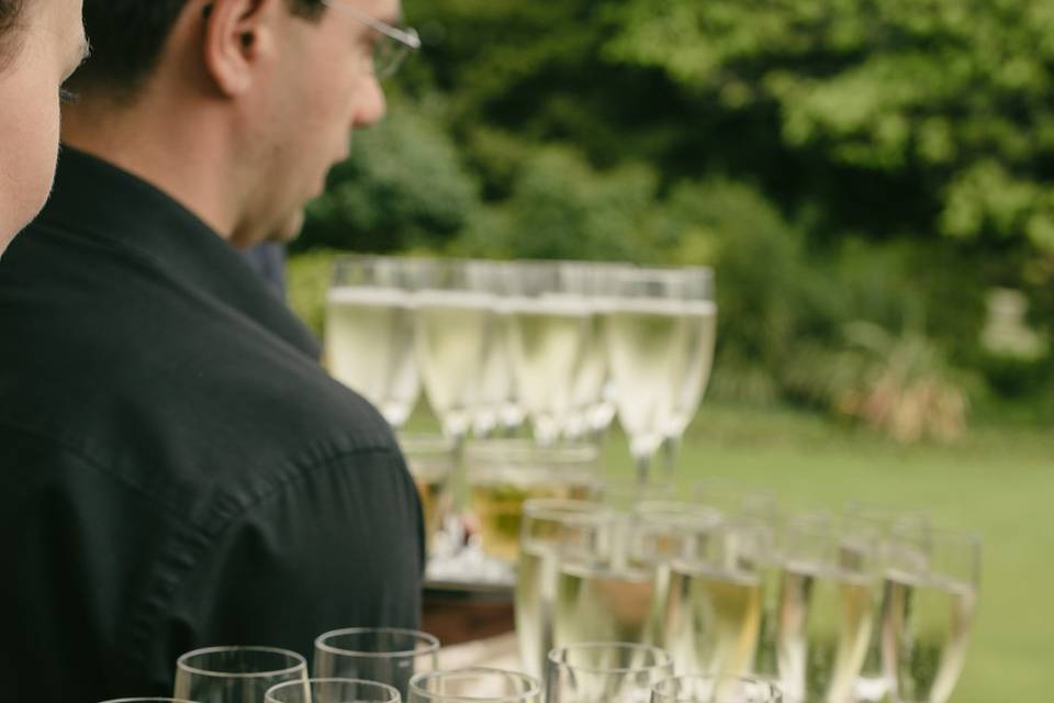 Nonsuch Mansion Confetti Throw